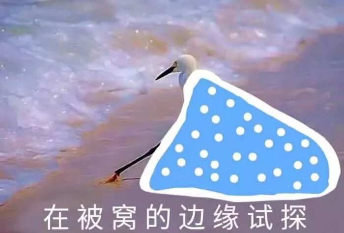 为叫孩子起床,家长下载上课铃声做闹铃!您用