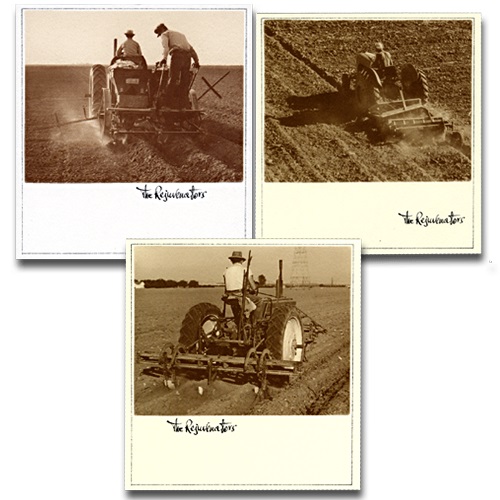 酒名的诱惑:那些响当当的膜拜酒 酒名的诱惑:那些响当当的膜拜酒