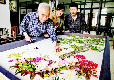扬州通草花。资料图片