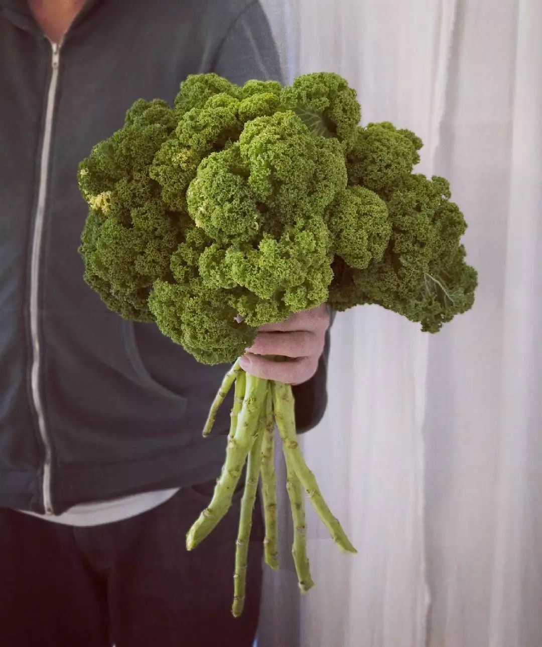 谁说德国无美食？德国的地道美食不只有啤酒和猪肘！