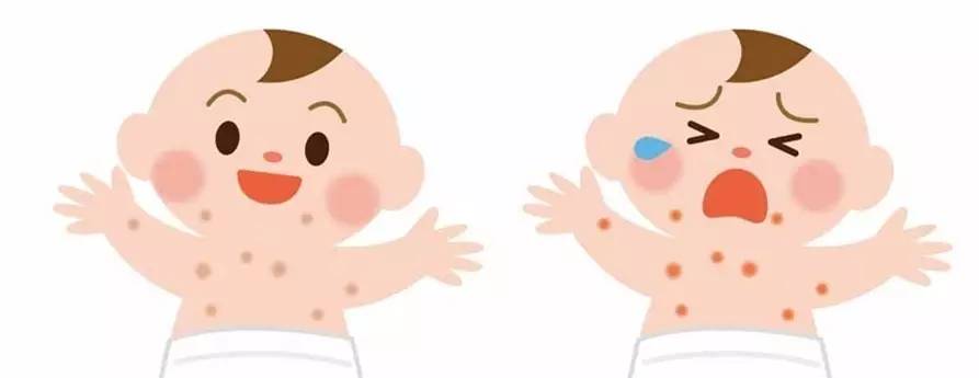 省中医皮肤科主任:夏天去湿邪用五花茶!