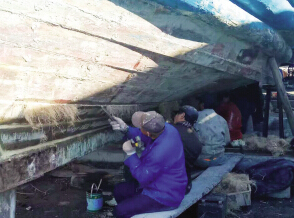 渤海湾逐渐度过冰封期 3月份皮皮虾将大量上市