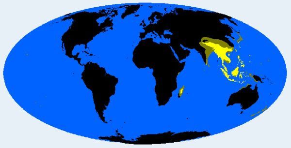 中国人的长相真的有地域差别,听说这是广东人