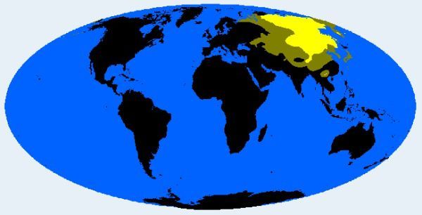 中国人的长相真的有地域差别,听说这是广东人