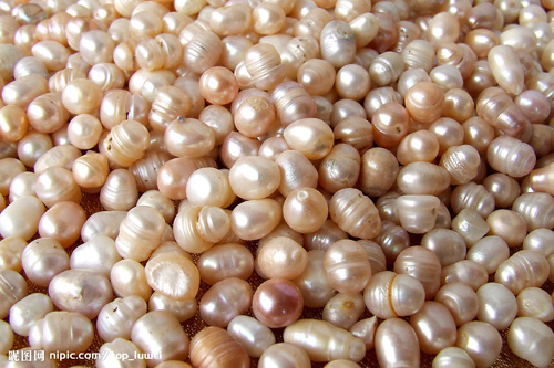 男子买海蛎子竟吃出60颗珍珠 一夜暴富