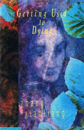 《爱尔兰时报》荐8本中国小说:了解中国最佳读本