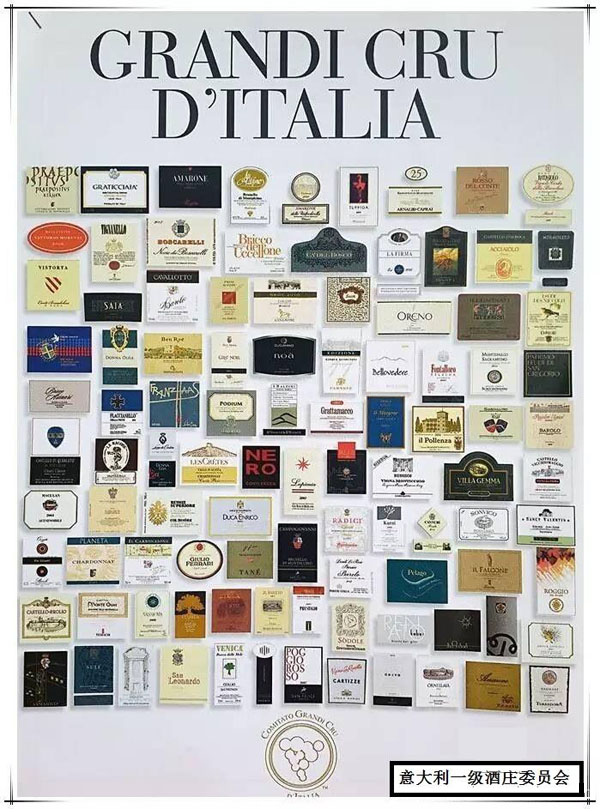 雅诺丝:与西施佳雅“齐名”的意大利艺术酒庄