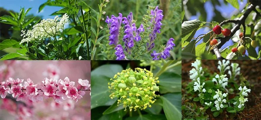 这个让脚层层脱皮的足膜,一边忍着恶心一边用