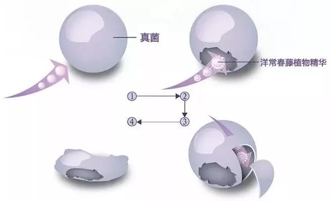 这个让脚层层脱皮的足膜,一边忍着恶心一边用