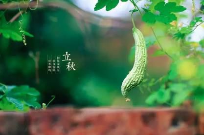 浏览器版本过低!);