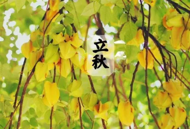 今日立秋!15时40分