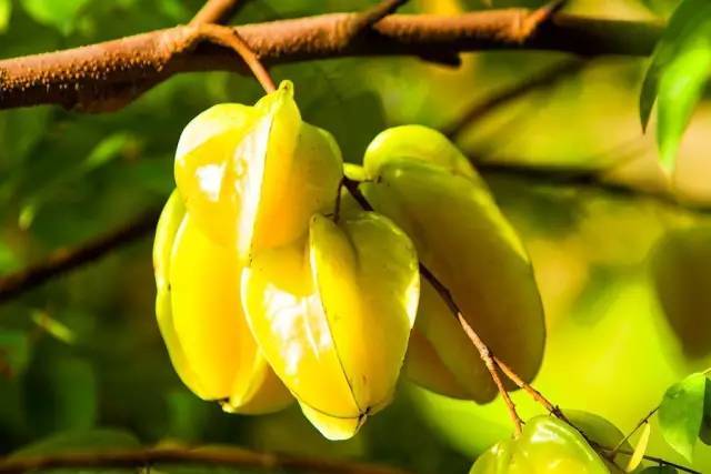 今日立秋!15时40分