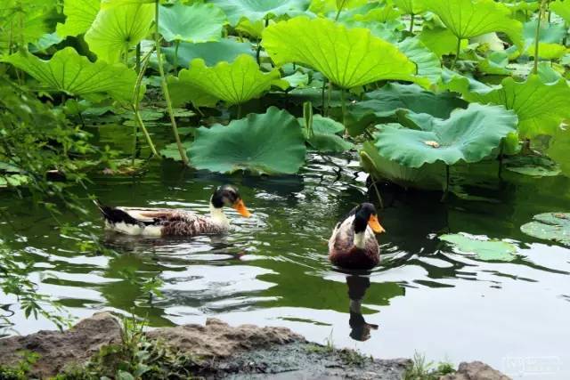 今日立秋!15时40分