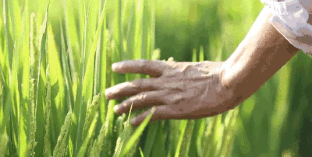 今日立秋!15时40分