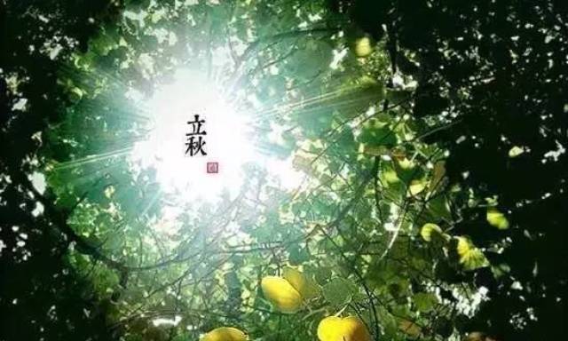 今日立秋!15时40分