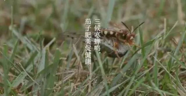 今日立秋!15时40分