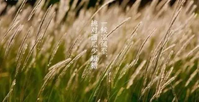 今日立秋!15时40分