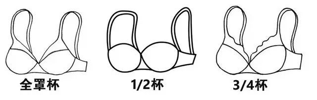 男票按摩胸会变大?这些丰胸谣言,谁信谁傻!