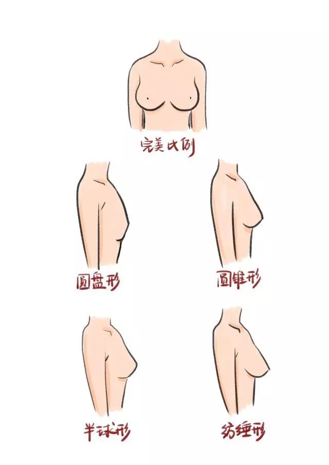 男票按摩胸会变大?这些丰胸谣言,谁信谁傻!