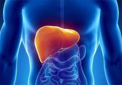 茶蓟椰橄片:喝酒脸红是怎么回事呢?原因你不得不重视