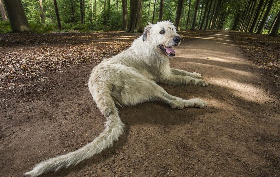 新版2017吉尼斯世界纪录 只有想不到没有做不到