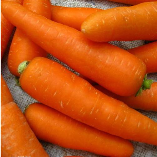 孩子长高的秘籍,科学增高的方法,非常重要!