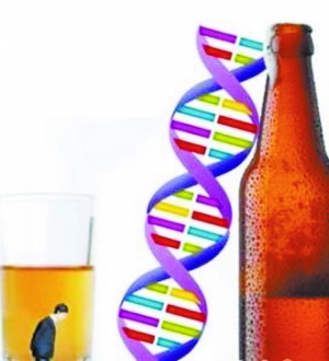 世上真有醒酒药吗?