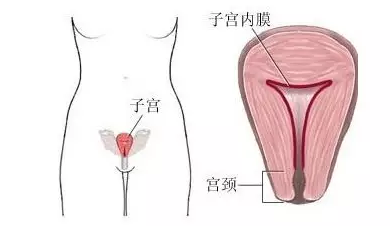 济南和谐妇科医院妇科专家：月经为什么有血块？是患有妇科疾病吗？