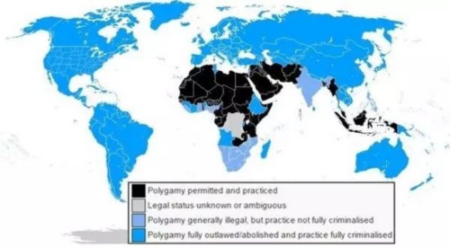 世界啪啪频率日本竟然最低,这组成人图片颠覆了我的认知......