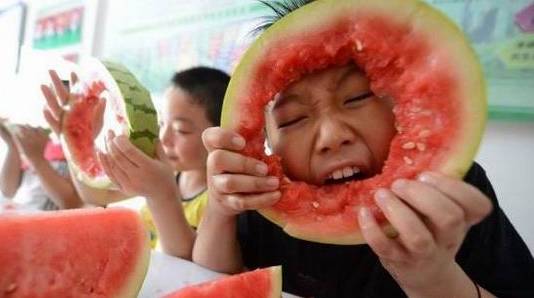 【今日立秋】一树密而知夏 一叶落而知秋