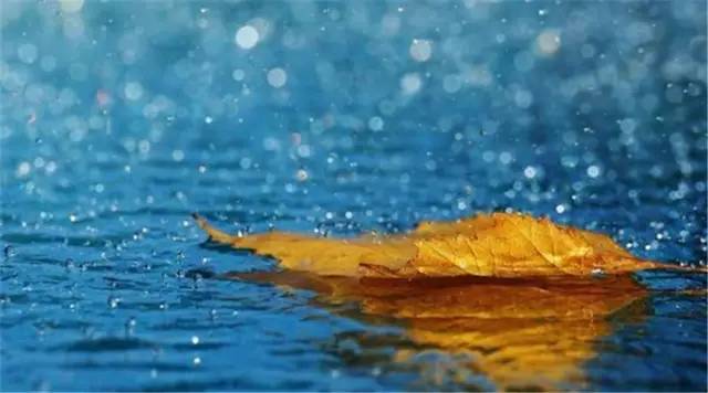 节气丨立秋:风吹一片叶,万物已惊秋