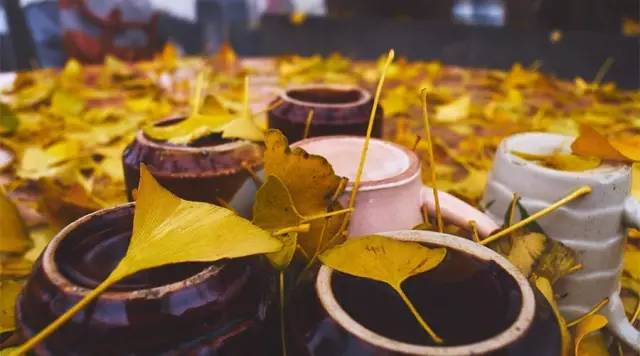 节气丨立秋:风吹一片叶,万物已惊秋