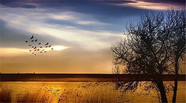 节气丨立秋:风吹一片叶,万物已惊秋