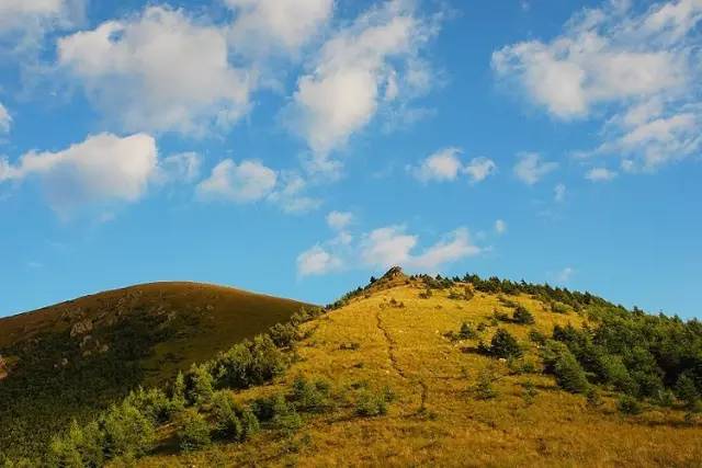 节气丨立秋:风吹一片叶,万物已惊秋