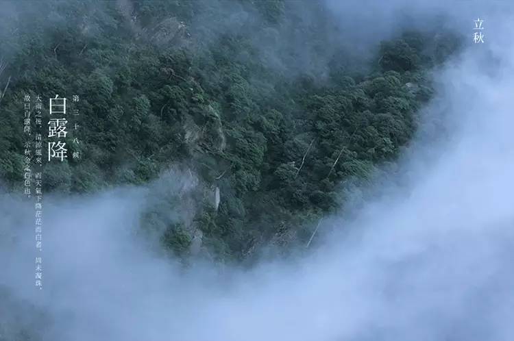 节气丨立秋:风吹一片叶,万物已惊秋