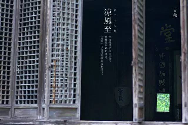 节气丨立秋:风吹一片叶,万物已惊秋