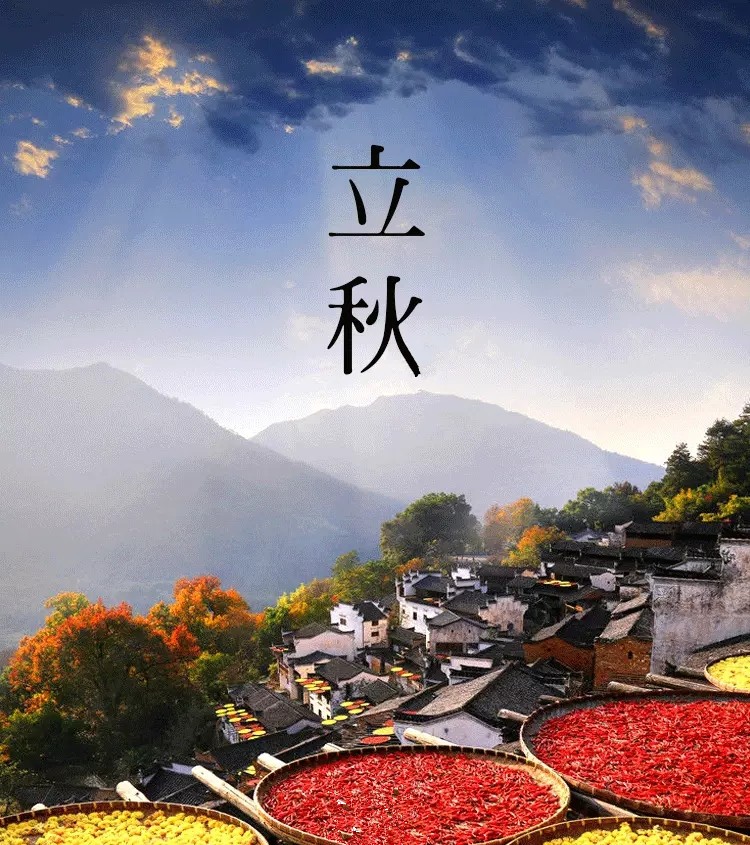 节气丨立秋:风吹一片叶,万物已惊秋