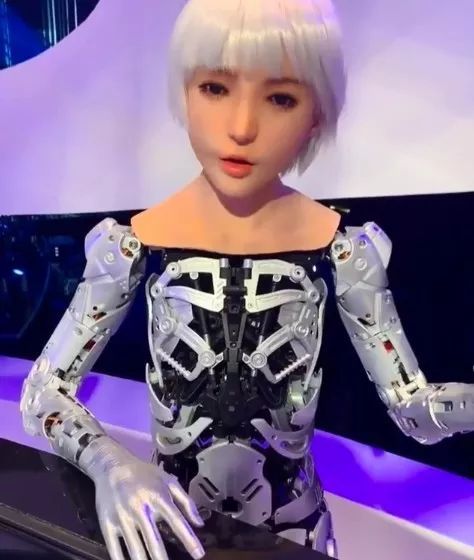 【创新】性爱机器人制造商正在考虑使用3D打印技术，使之更便宜逼真