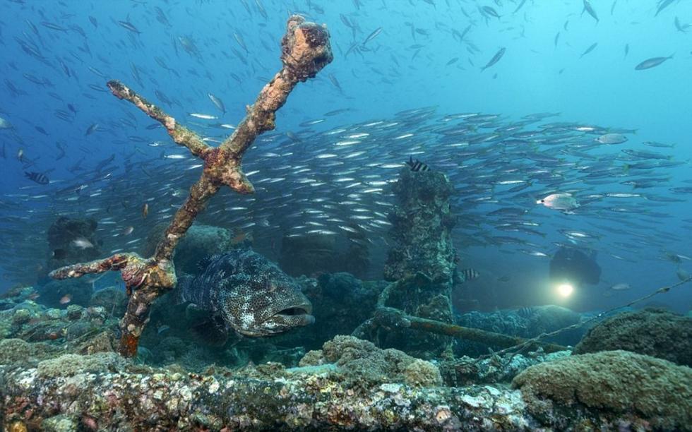 摄影师海底探险 揭秘大洋深处残骸之美