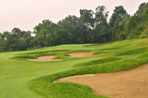 野象有红茶品尝有机傣族家常菜 野象高尔夫球会