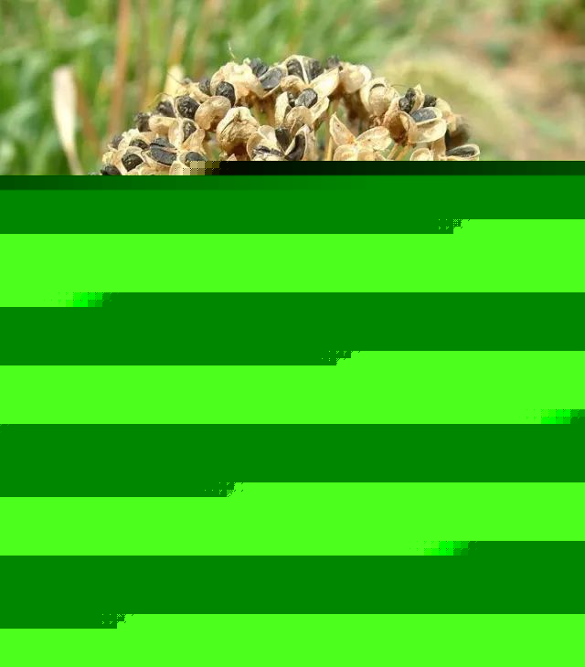 【百湖小偏方】用方一次治好肩周炎