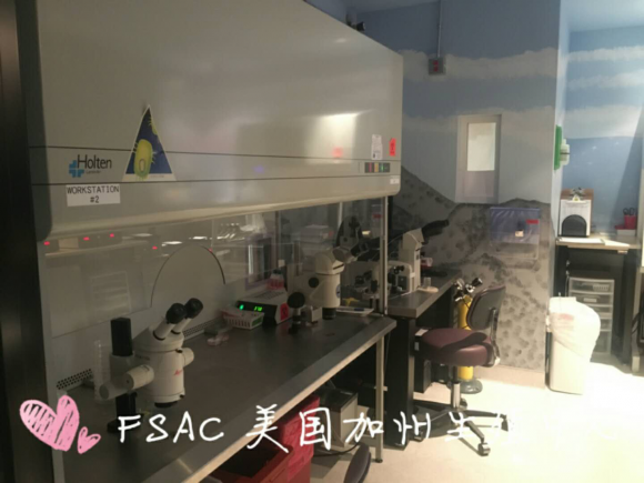 FSAC:男性少精症可否做美国试管婴儿?