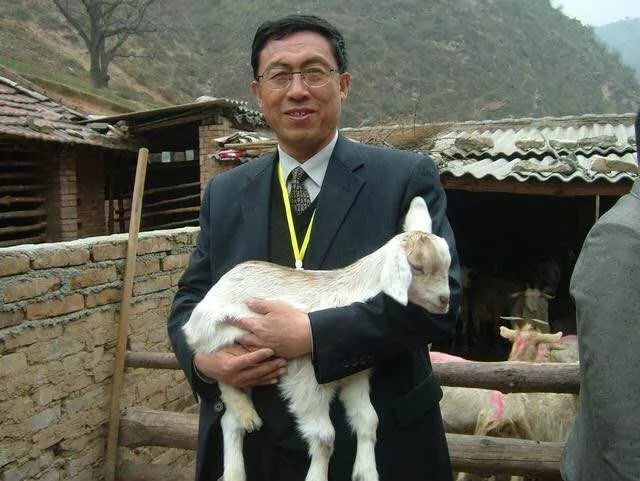 专访王伟民:这两年陕西羊奶赢得“满堂红”,“但我始终还有一个担