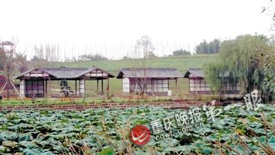 驿都花海10月10日芬芳开园(组图)