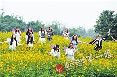 驿都花海10月10日芬芳开园(组图)