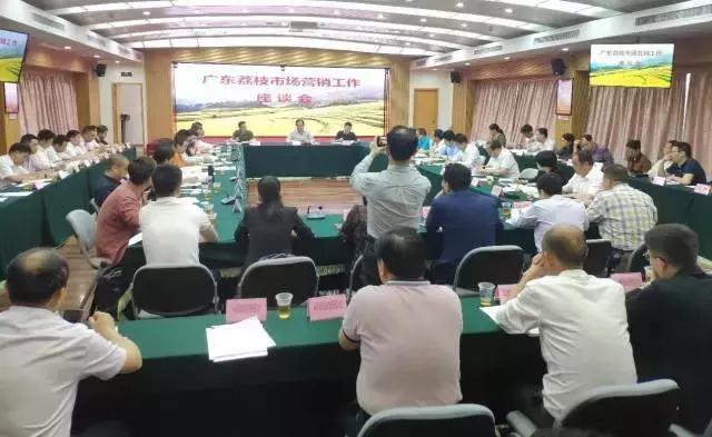 广东荔枝走出去,这些知识应该知晓!