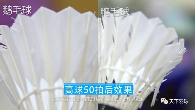 “毛片”那些事