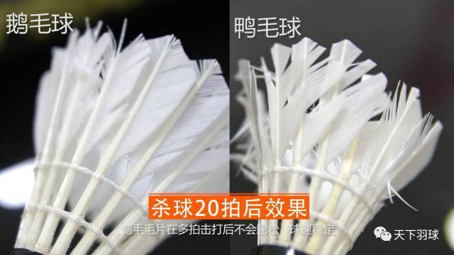 “毛片”那些事