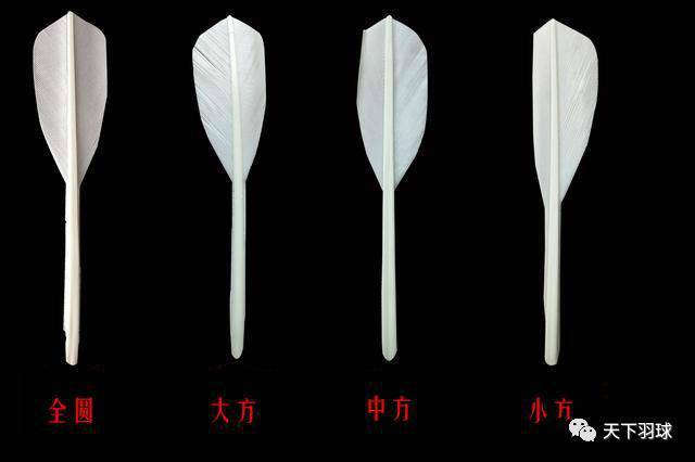 “毛片”那些事