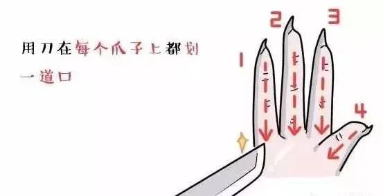 “无骨鸡爪”竟是工人用嘴啃出来的,你有没有吃过?